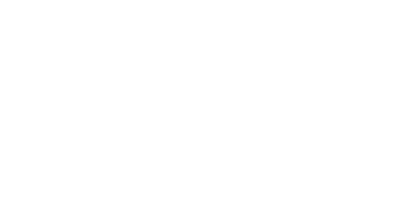 Peach Metals Logo